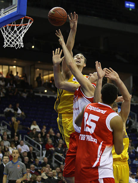 杨在某些高 杨在某些高